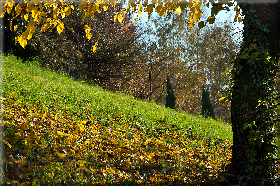 foto Colline Marosticane in Autunno